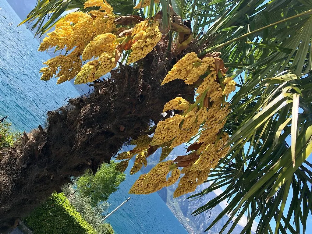 Albergo Villa Edera Malcesine 2*,